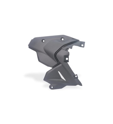 CNC RACING Proteções Laterais de Motor em Carbono para DUCATI Streetfighter V2/S 25-26