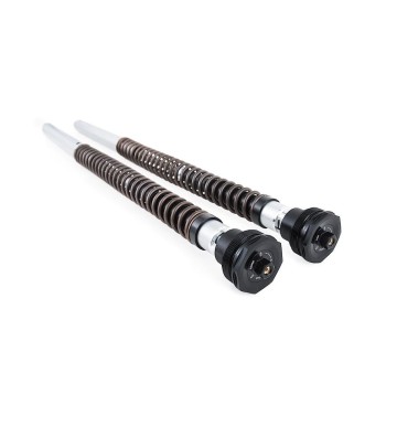 OHLINS Cartuchos de Suspensão NIX30 para HONDA XL750 TRANSALP 23-24