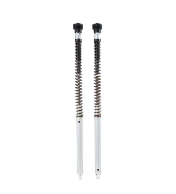 OHLINS Cartuchos de Suspensão NIX30 para HONDA XL750 TRANSALP 23-24