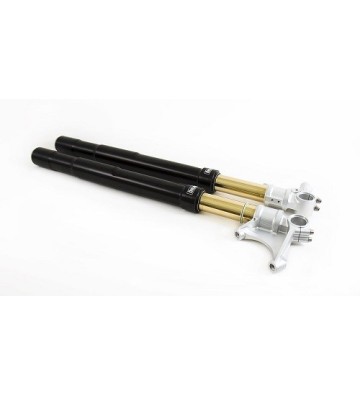 OHLINS Front Fork for S1000RR 08-17