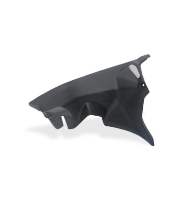 CNC RACING Proteções Interiores em Carbono para DUCATI Panigale V4/S 25-26