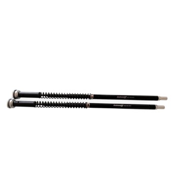 ANDREANI MISANO EVO 2 Hydraulic Adjustable Cartridges for HONDA GB350 S 25-