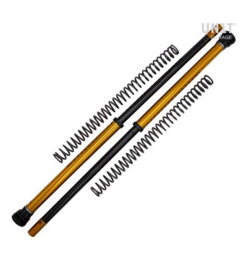 UNIT GARAGE Cartuchos de Suspensão RALLY RACE para BMW F450 GS 26-