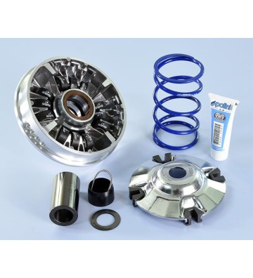 POLINI Variator Hi-Speed for X-MAX 300 17-