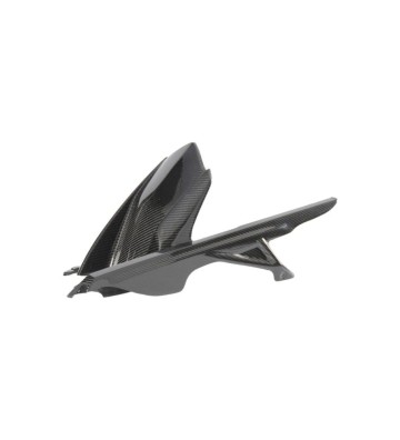 LIGHTECH Carbon Rear Mudguard for BMW S1000R 21-24 / S1000RR 19-26