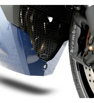 R&G PRO Downpipe Grille for SUZUKI GSX-S1000 GT 22-