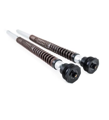 OHLINS Cartuchos de Suspensão NIX30 Adventure para HONDA XL750 TRANSALP 23-25 (Showa)