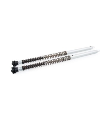 OHLINS Cartuchos de Suspensão NIX30 Adventure para HONDA XL750 TRANSALP 23-25 (Showa)