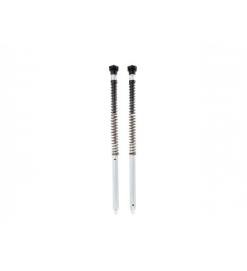 OHLINS Cartuchos de Suspensão NIX30 Adventure para HONDA XL750 TRANSALP 23-25 (Showa)