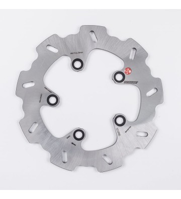 BRAKING Disk (Rear)