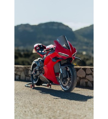 CNC RACING Asas em Carbono para DUCATI Panigale V4/S 25-26