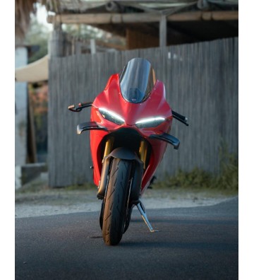 CNC RACING Asas em Carbono para DUCATI Panigale V4/S 25-26