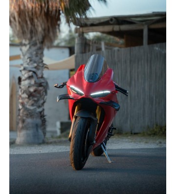 CNC RACING Asas em Carbono para DUCATI Panigale V4/S 25-26