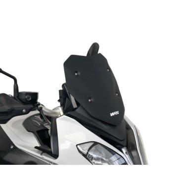 WRS Vidro SPORT para S1000XR 15-19