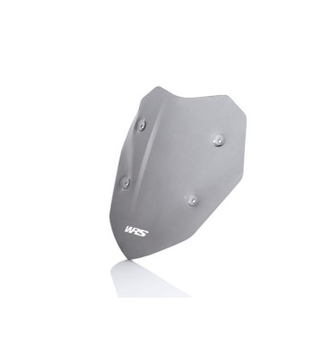 WRS Vidro SPORT para S1000XR 15-19