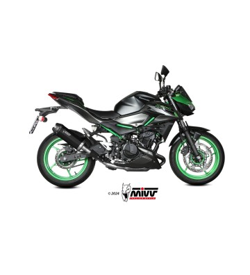 MIVV AK-1 Silencer for Z500 / SE 24-