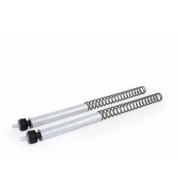OHLINS Kit de Cartuchos de Suspensão FSK para HONDA CB650 F 17-18