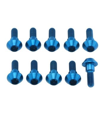 PRO-BOLT Discs Bolt Kit M6x1.00x20mm