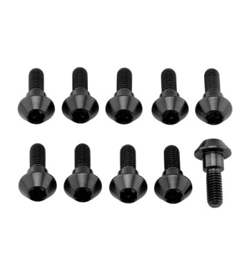 PRO-BOLT Kit parafusos de discos M6x1.00x20mm
