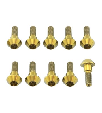 PRO-BOLT Kit parafusos de discos M6x1.00x20mm