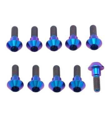 PRO-BOLT Kit parafusos de discos M6x1.00x20mm