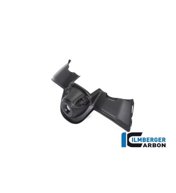 ILMBERGER Ignition switch cover for PANIGALE V4 18-