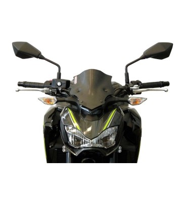 F.FABBRI NAKED-SPORT-TOURING Windscreen for Z900 17-