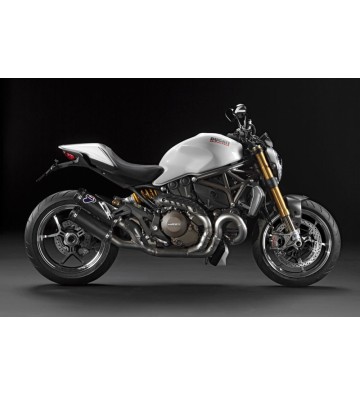 TERMIGNONI Ponteira de Escape para MONSTER 821 17-