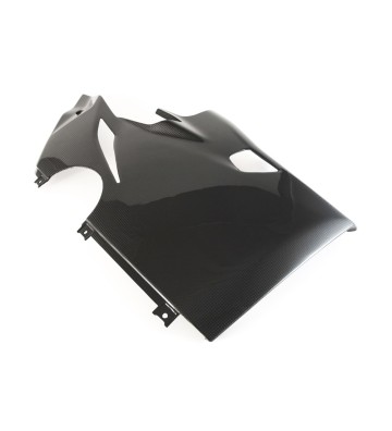 FULLSIX  Fairing Side Panel (Lower Left) for PANIGALE V4 18-