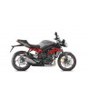 Street Triple R